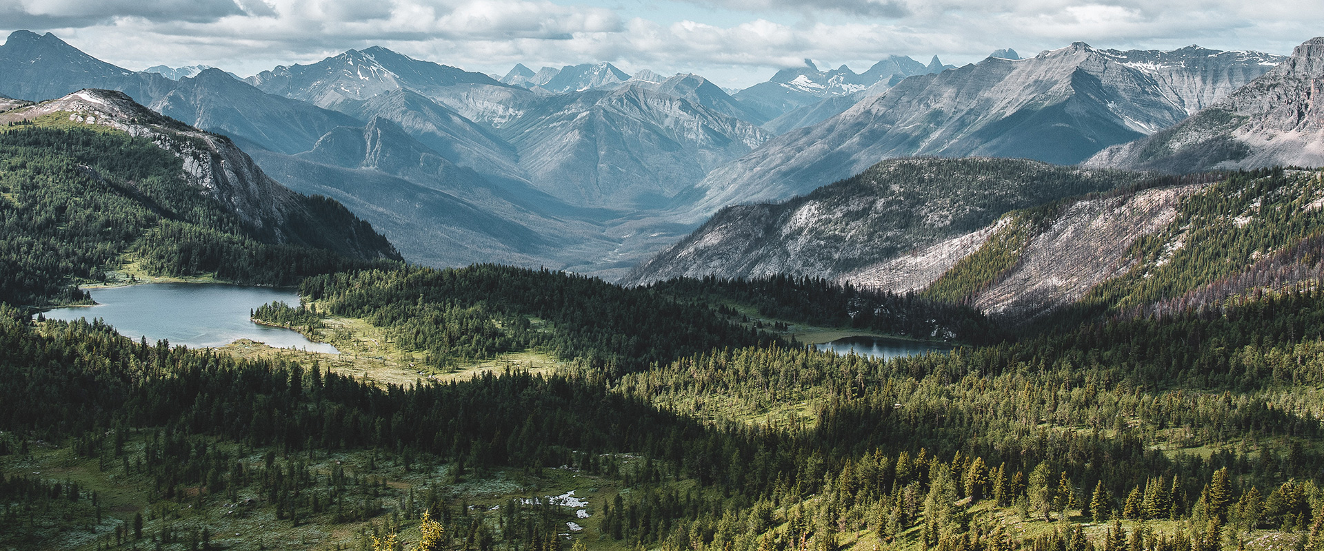 Ansicht Berge Wald See